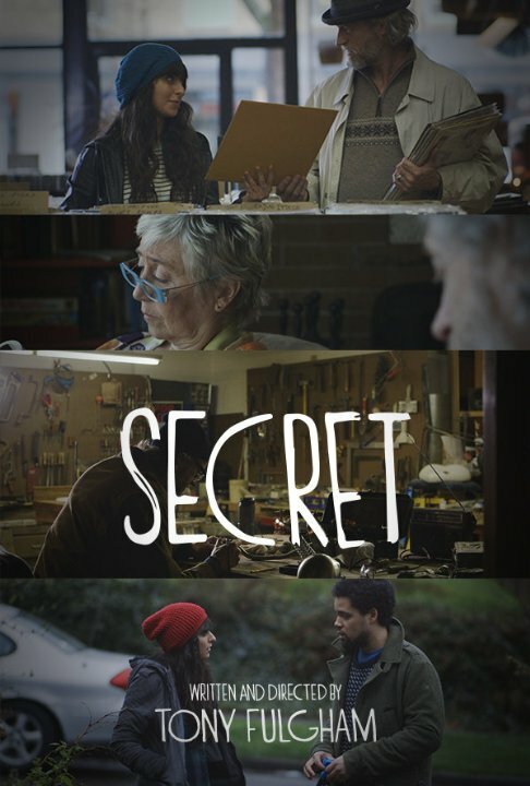 Secret (2014) постер