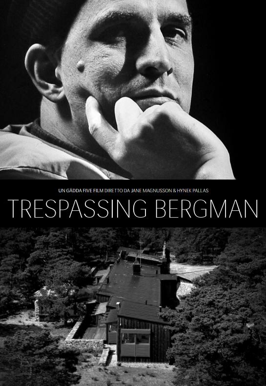 Вторжение к Бергману (2013) постер