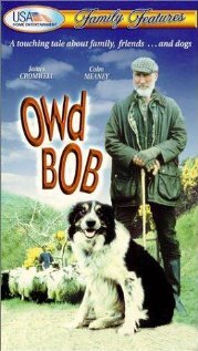 Старина Боб (1998) постер