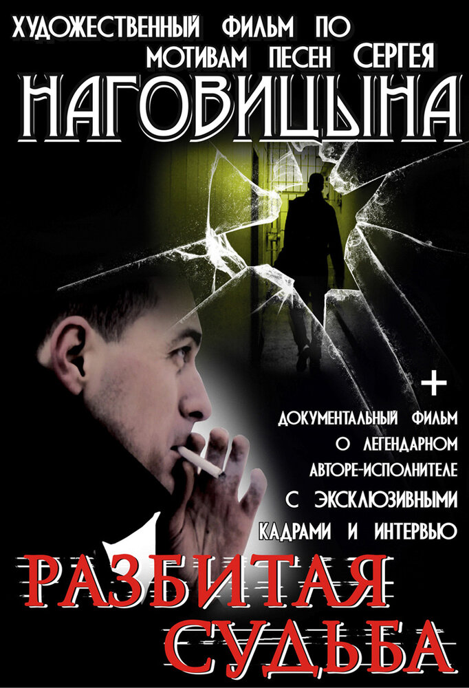 Разбитая судьба (2009) постер