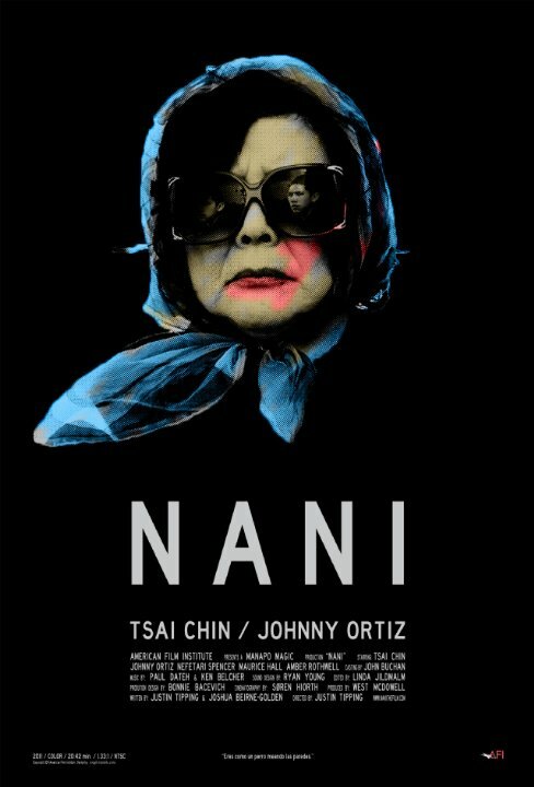 Нани (2011) постер