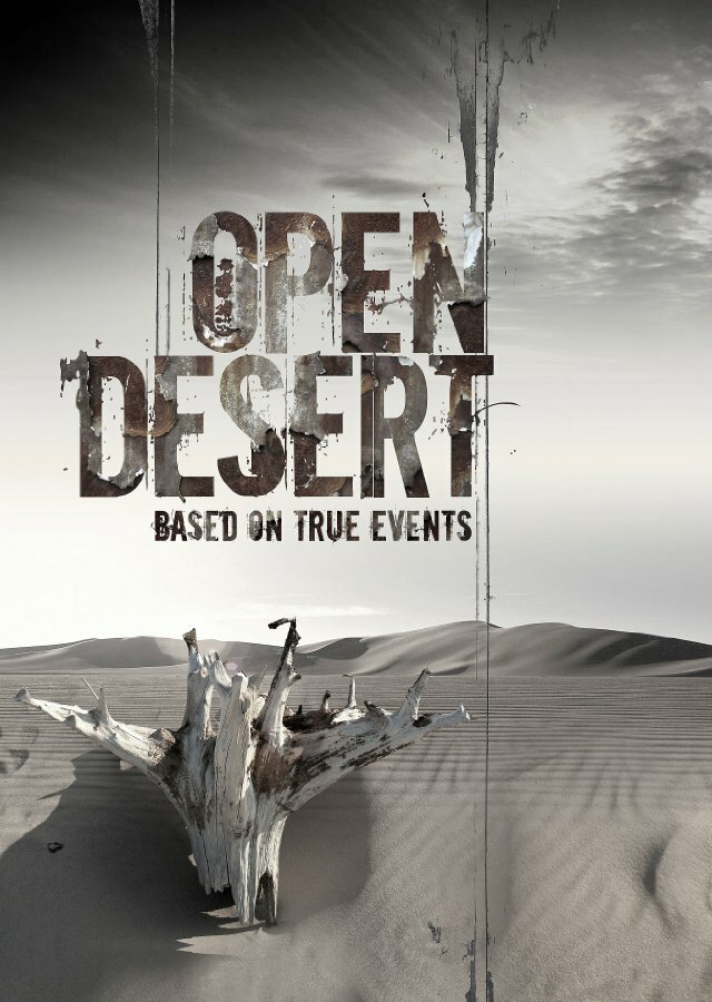 Бескрайняя пустыня (2013) постер