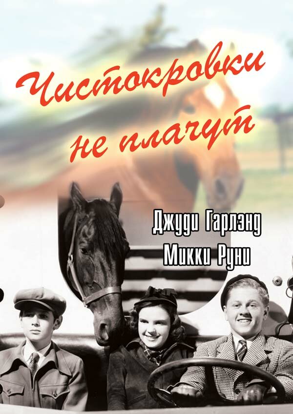 Чистокровки не плачут (1937) постер