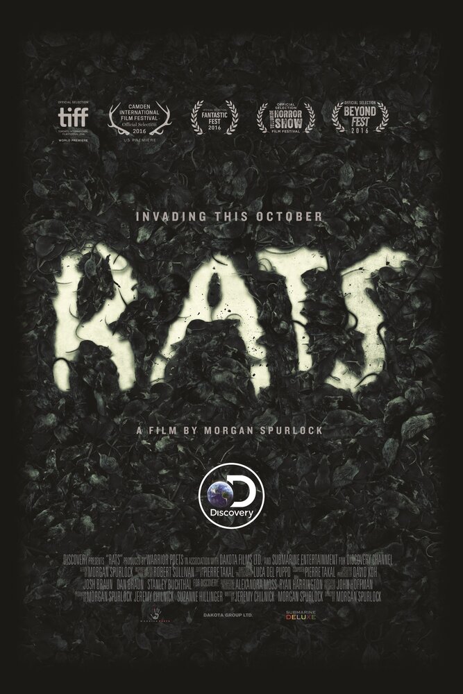 Крысы (2016) постер