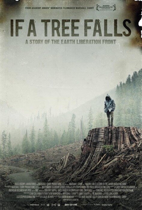 Если дерево упадет (2011) постер