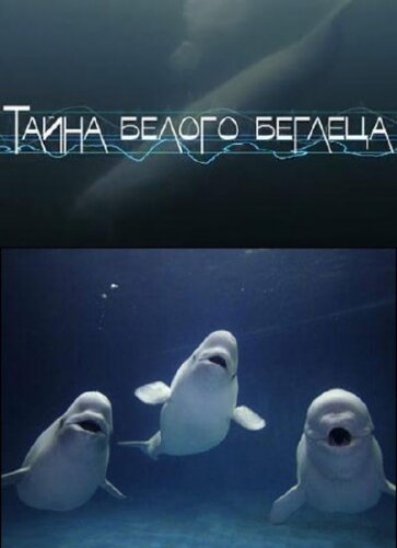 Тайна белого беглеца (2012) постер