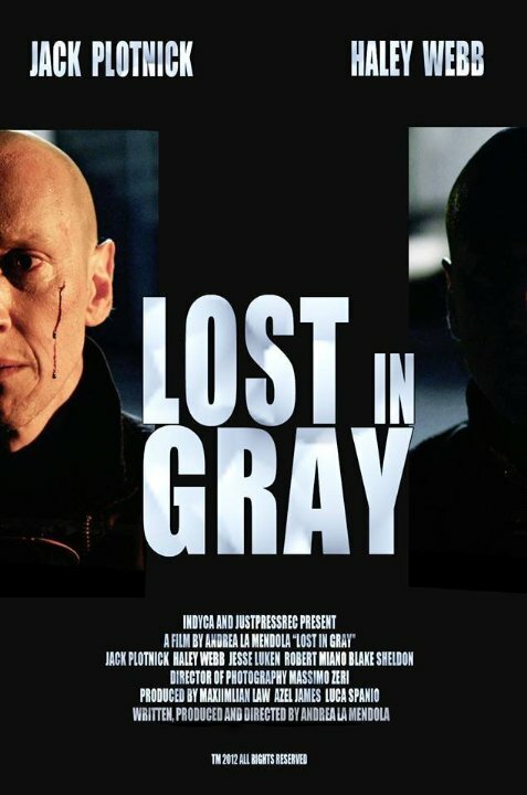 Lost in Gray (2014) постер