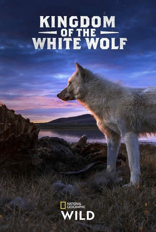 Королевство белого волка (2019) постер