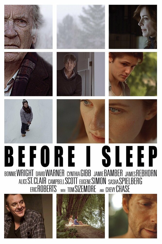 Перед сном (2013) постер