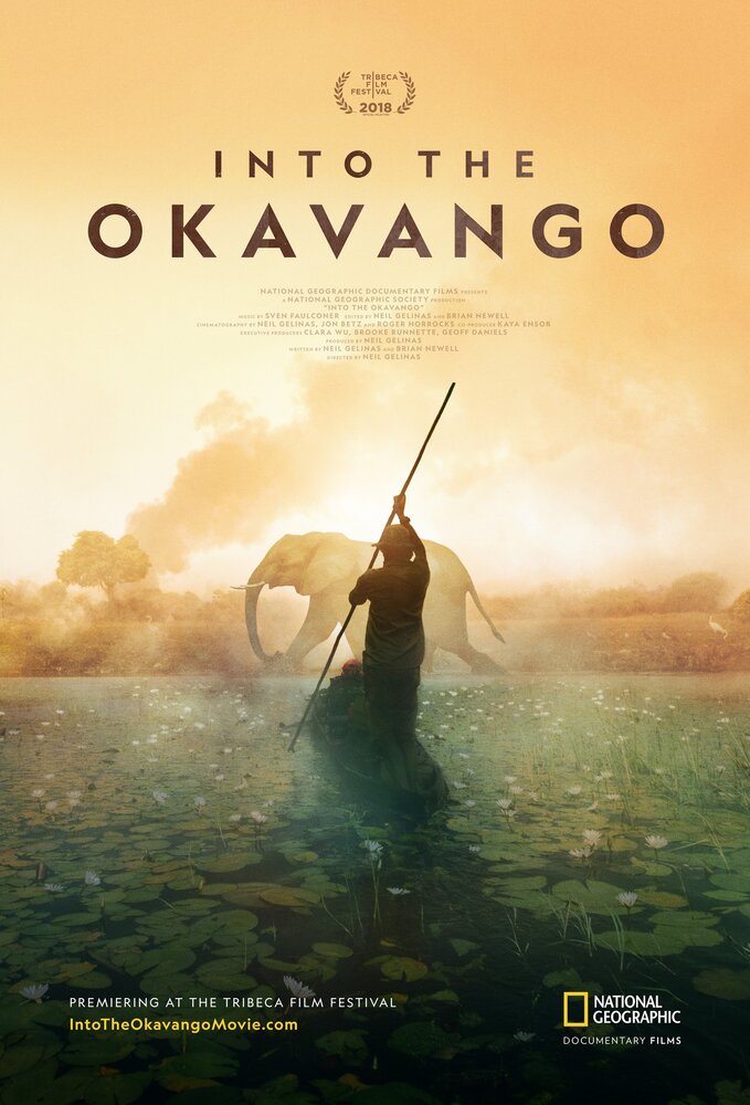Далеко в Окаванго (2018) постер