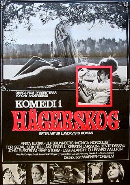 Комедия в Хегерскуге (1968) постер